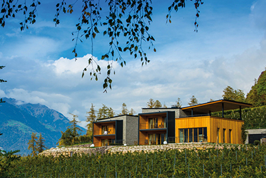 CHALET VINEYARD EICHENSTEIN, MERANO